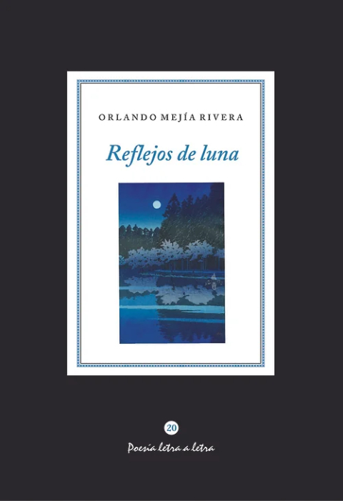 Imagen de la portada del libro Reflejos de Luna