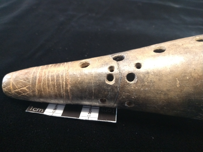 Imagen: Perforaciones de digitación y de restauración en el cuerpo de una flauta troncónica malibú de la colección de Museo de Oro (Bogotá). Foto: Luis Carlos Choperena.